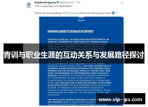 青训与职业生涯的互动关系与发展路径探讨